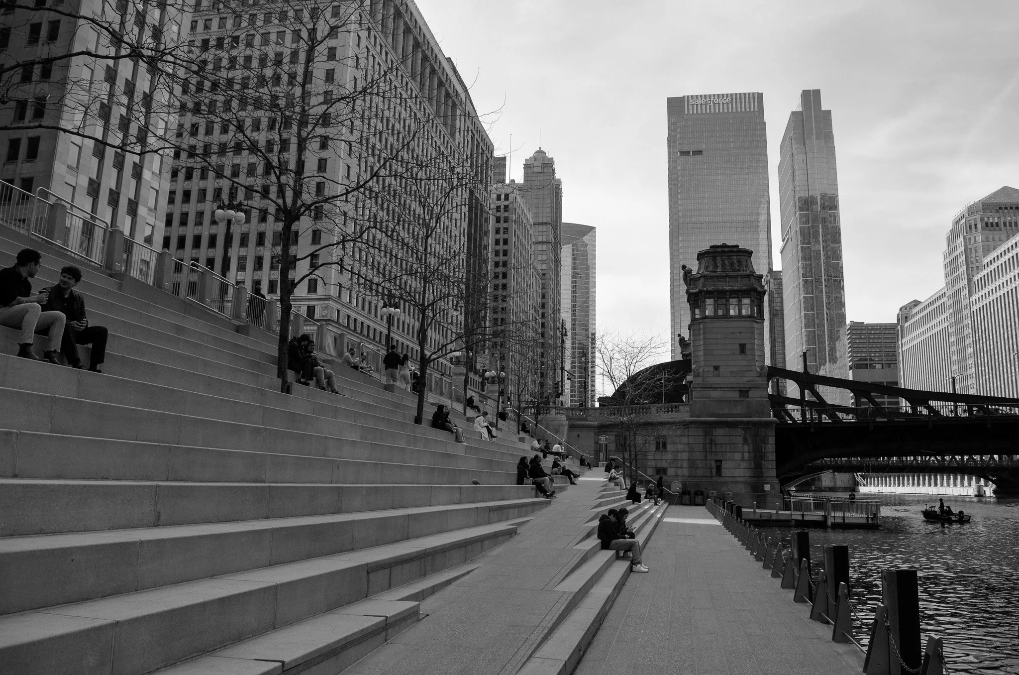_DSC9556.jpg