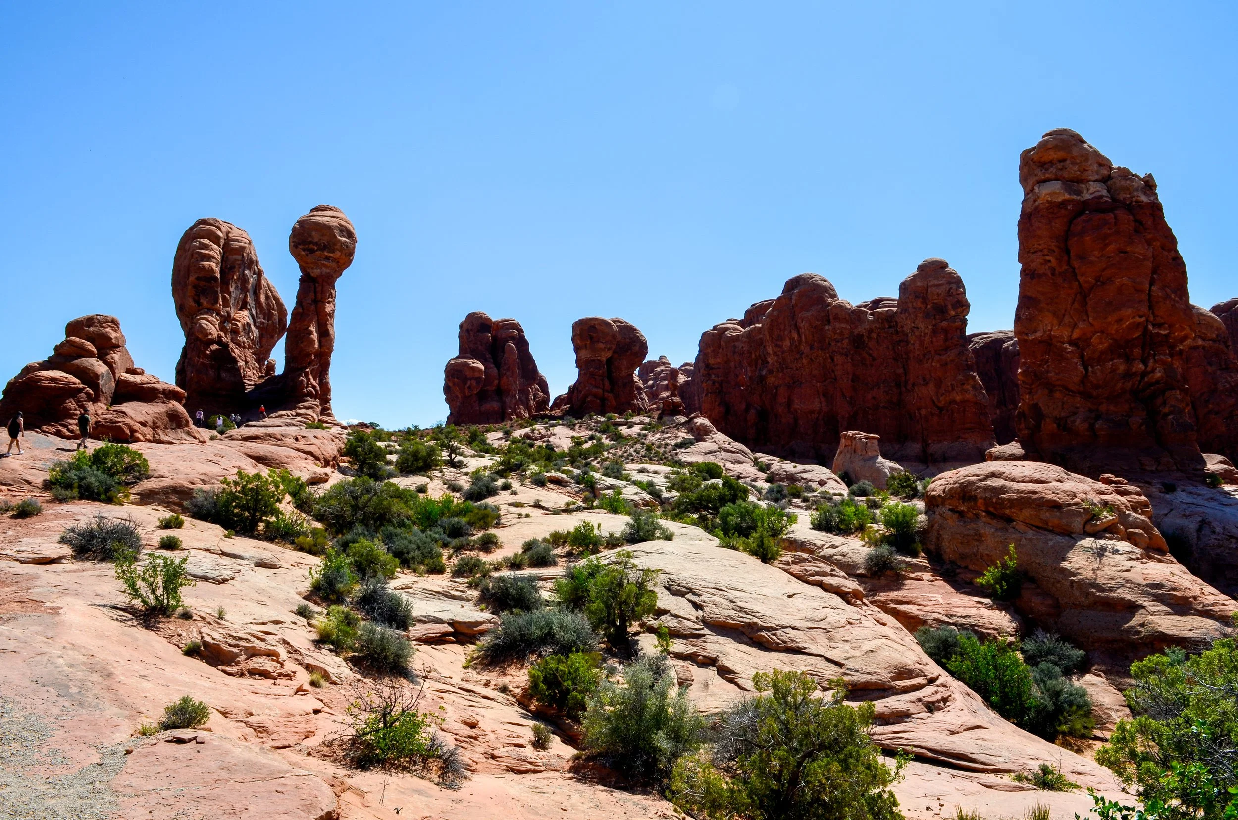 _DSC0582.jpg