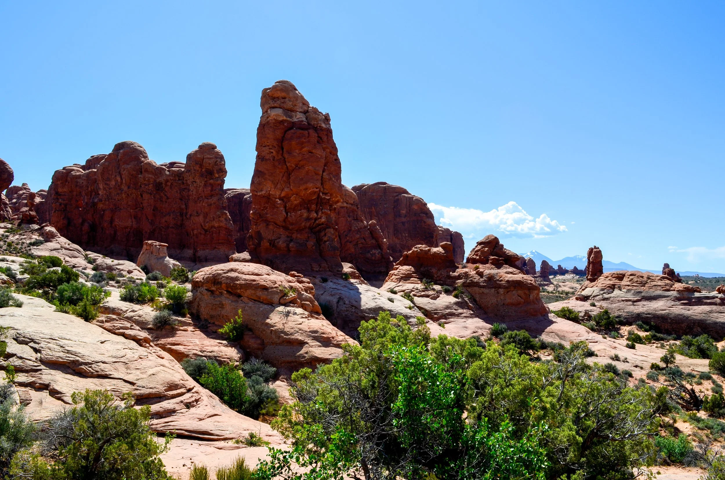 _DSC0581.jpg