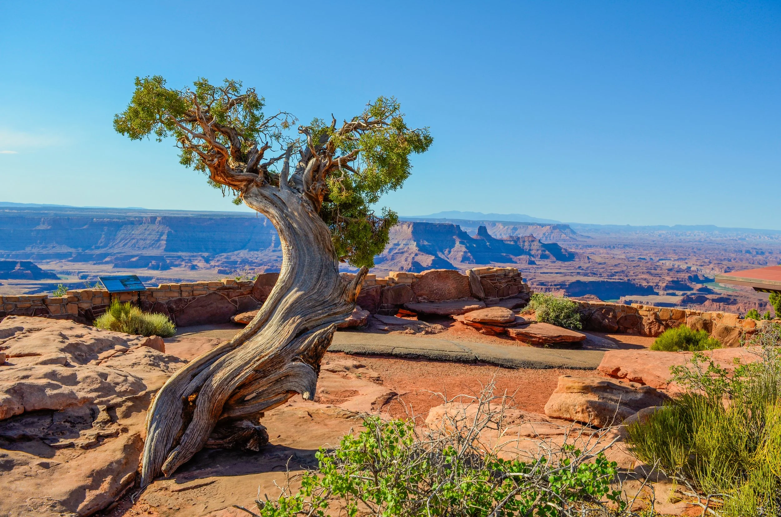 _DSC0567.jpg