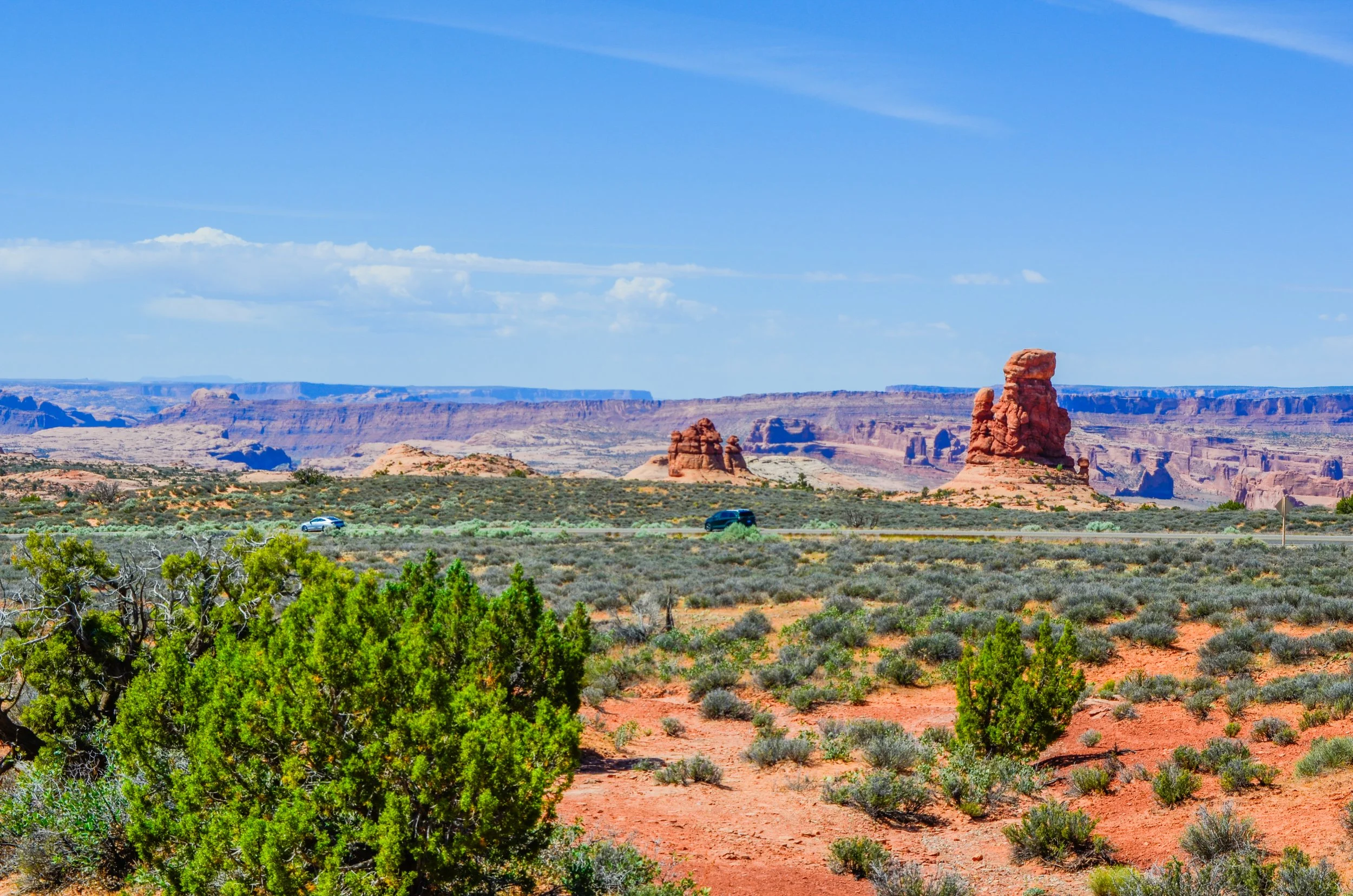 _DSC0575.jpg