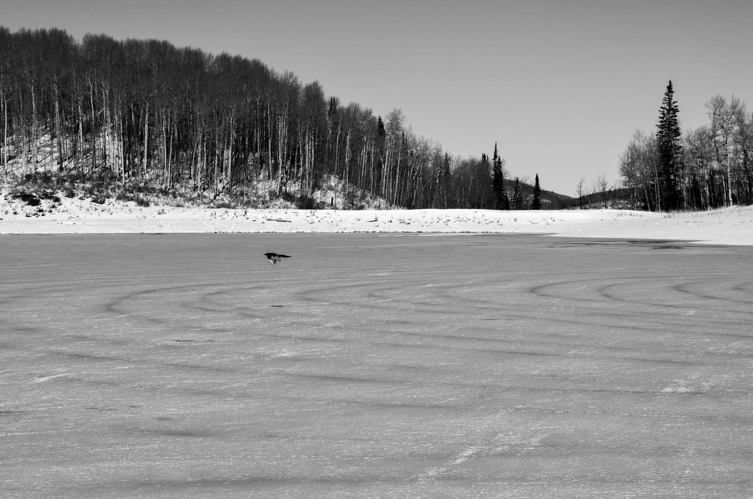 DSC_0034.jpg