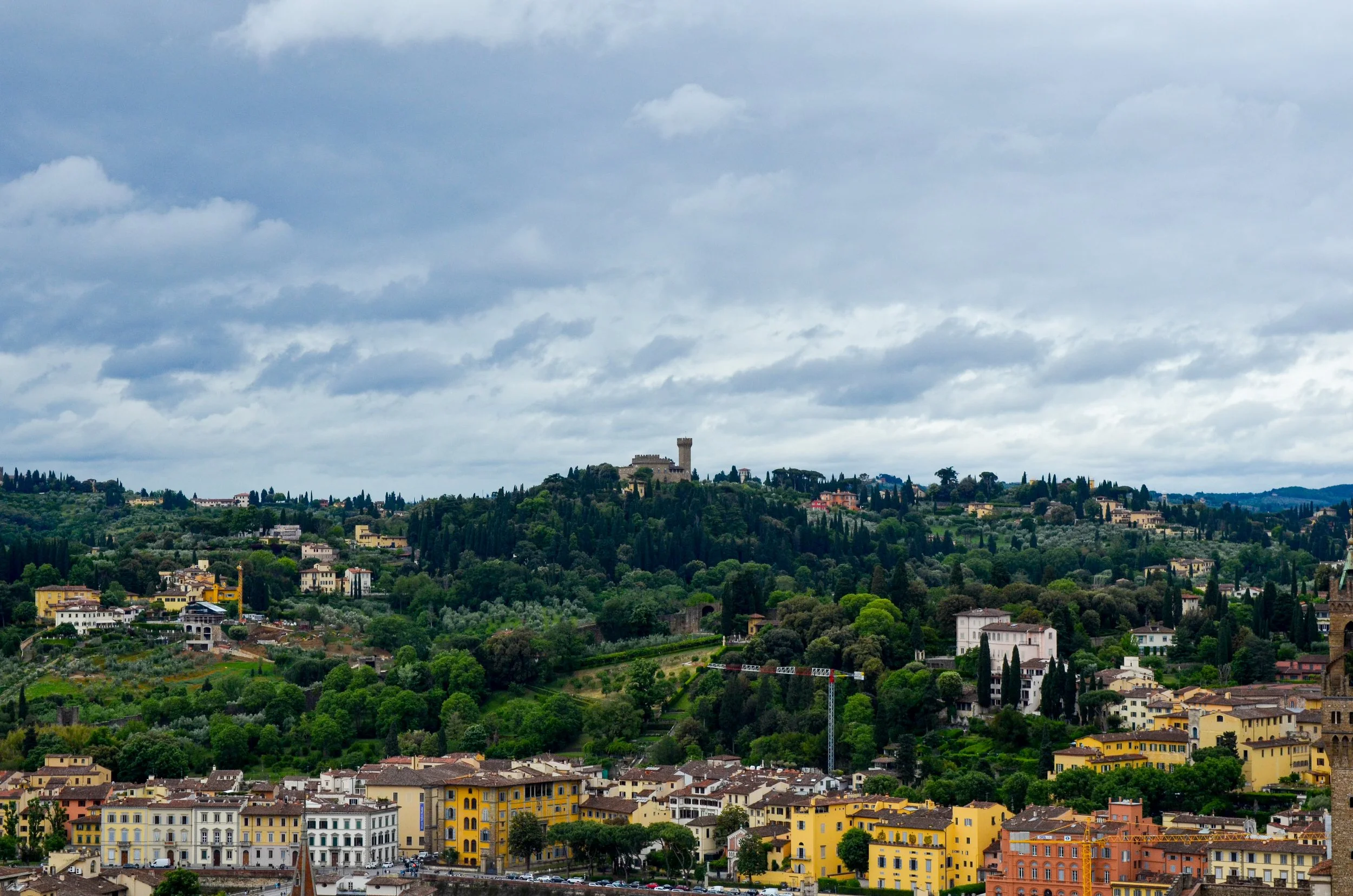 _DSC6456.jpg