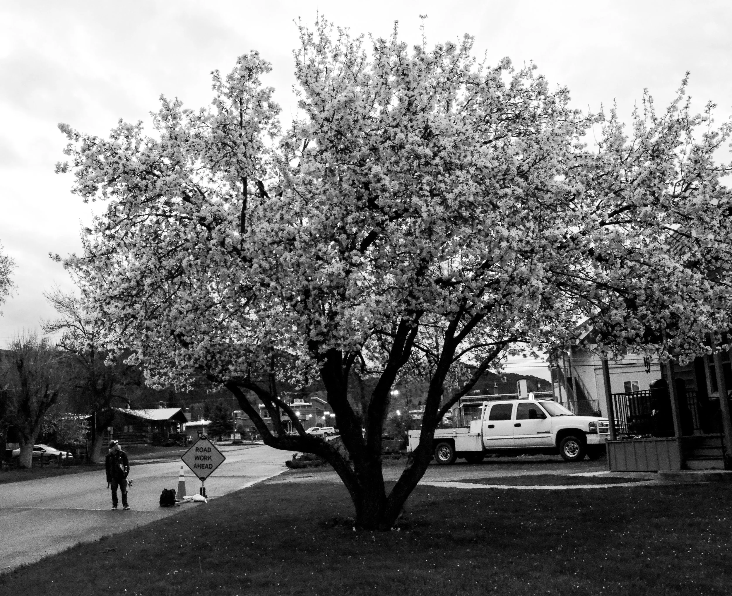 DSC_0907.jpg