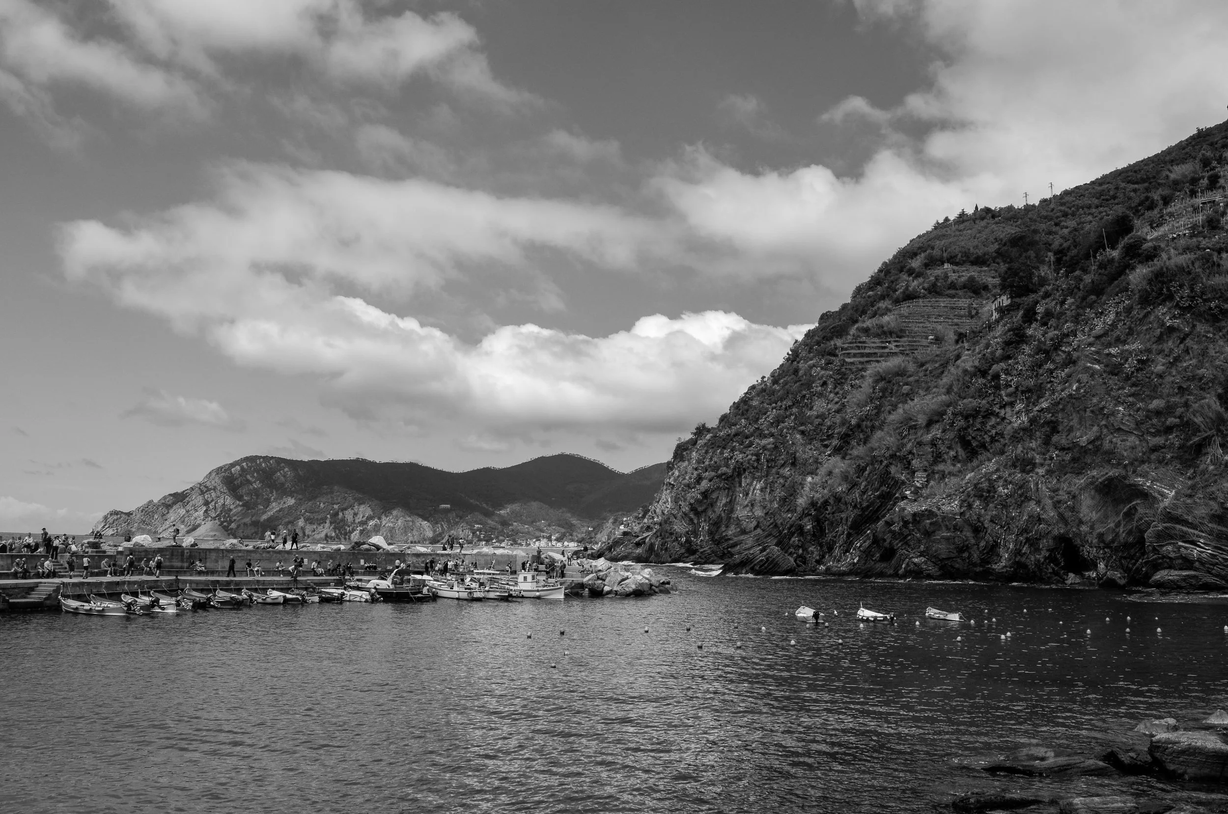 _DSC6120.jpg