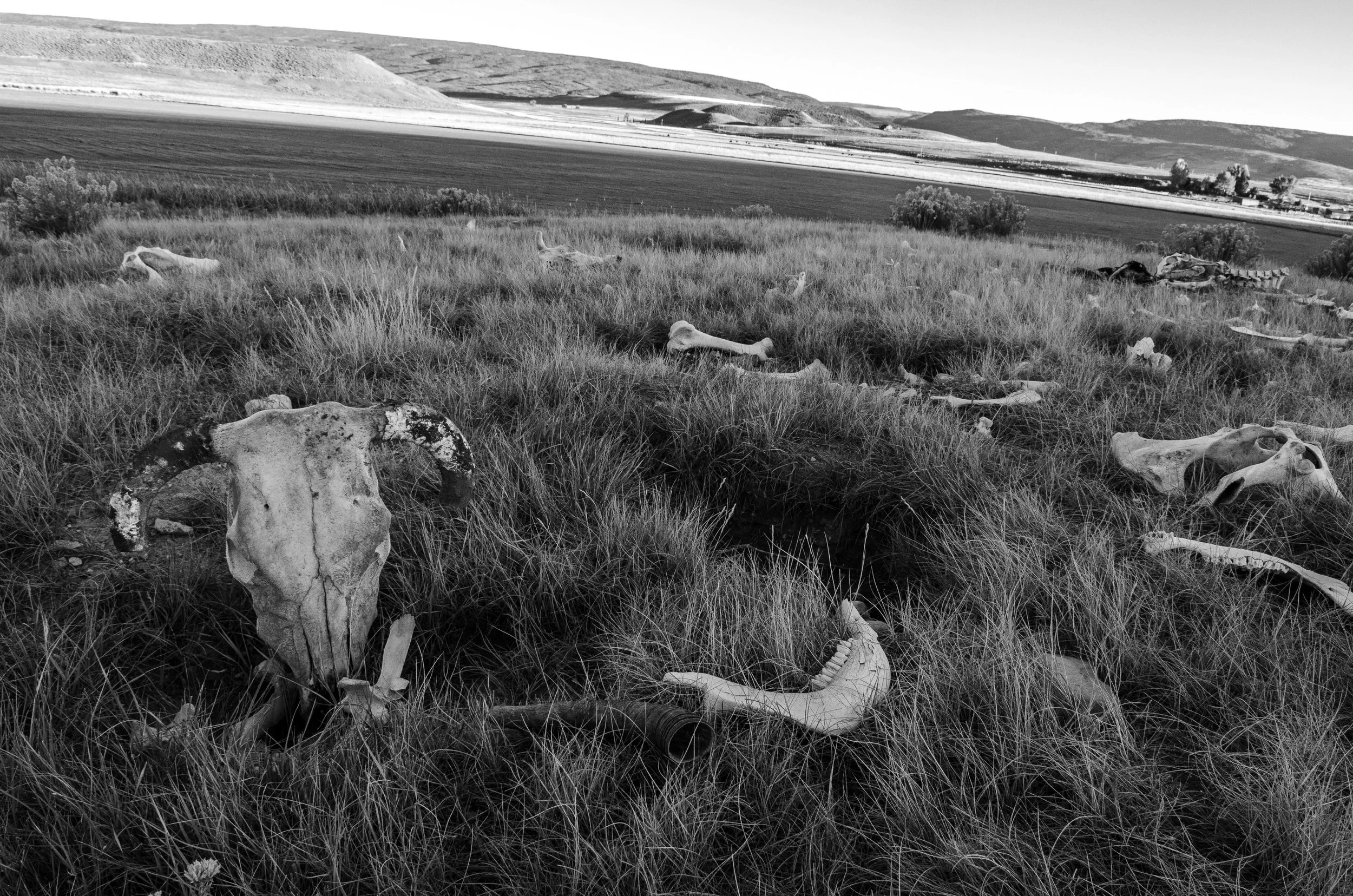 DSC_0722.jpg
