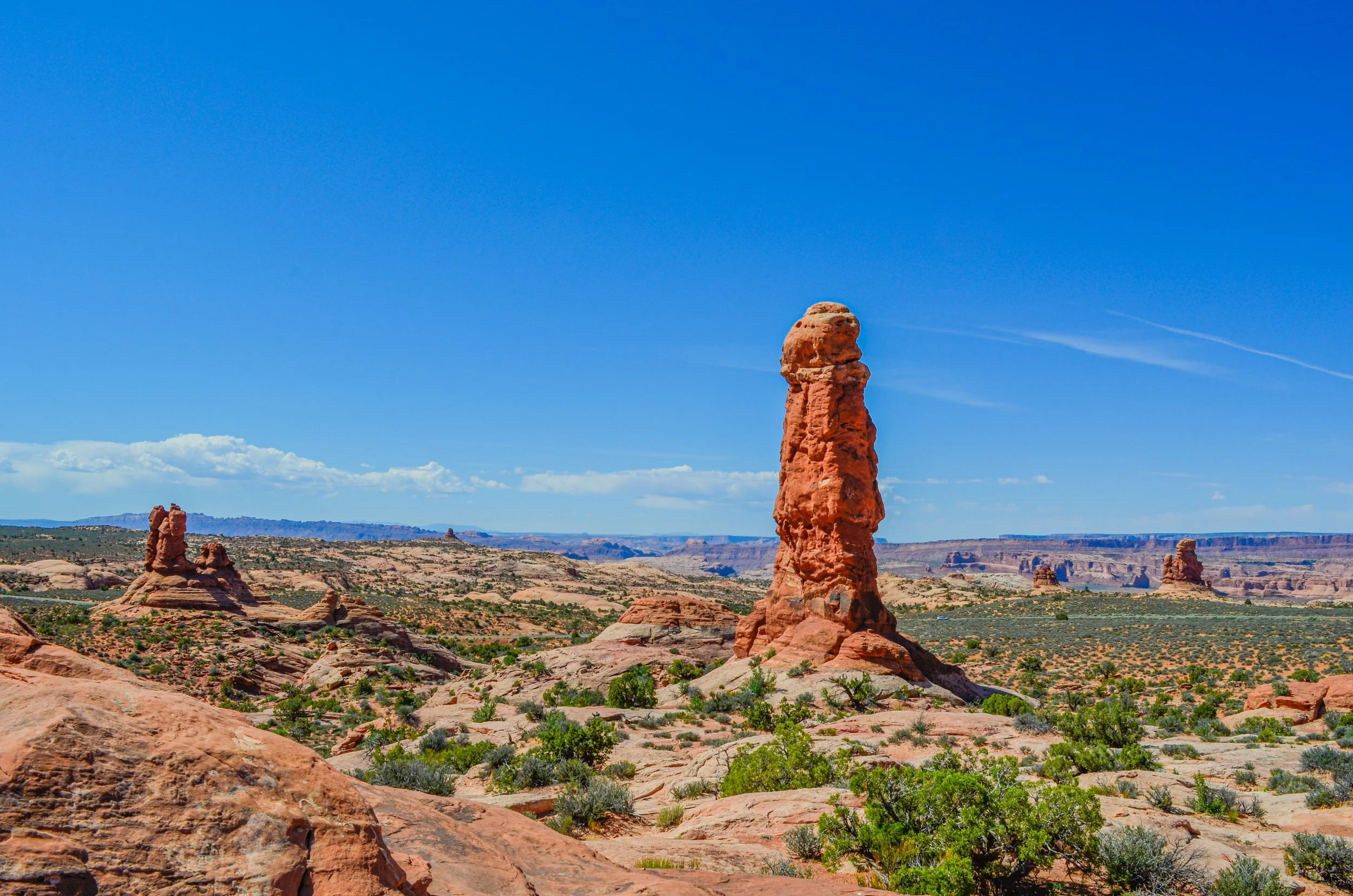 _DSC0591.jpg