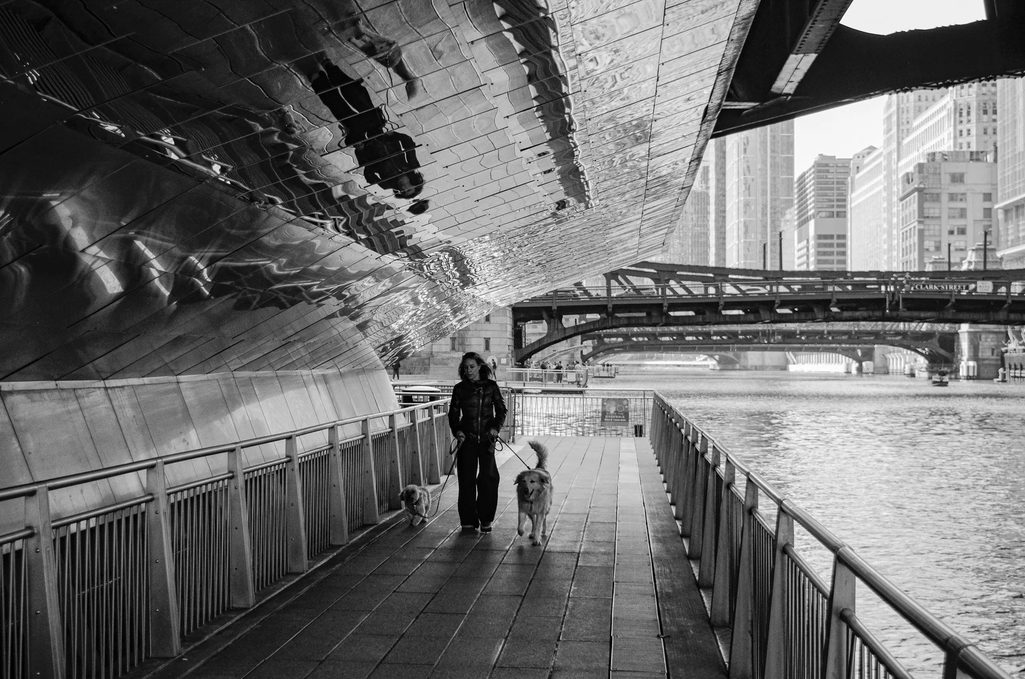 _DSC9550.jpg