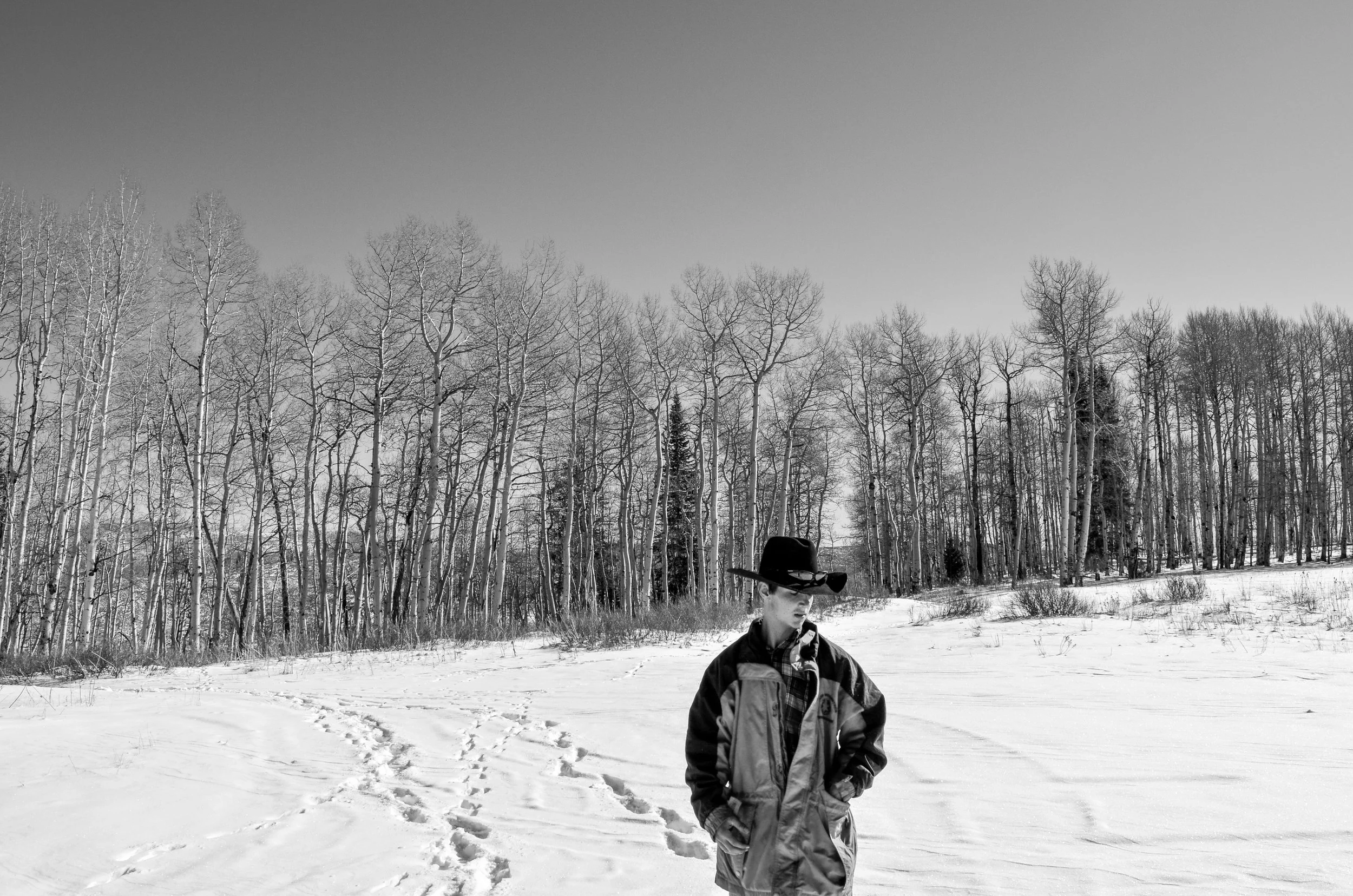 DSC_0013.jpg