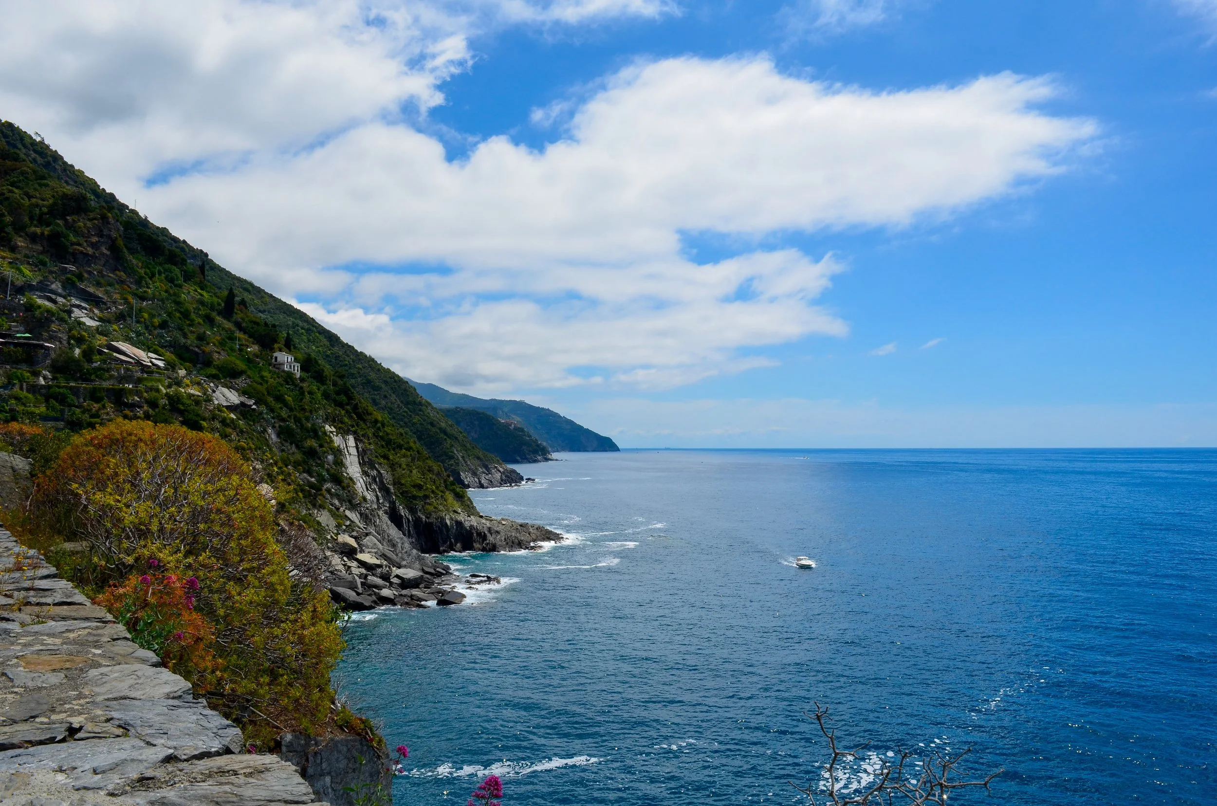 _DSC6148.jpg