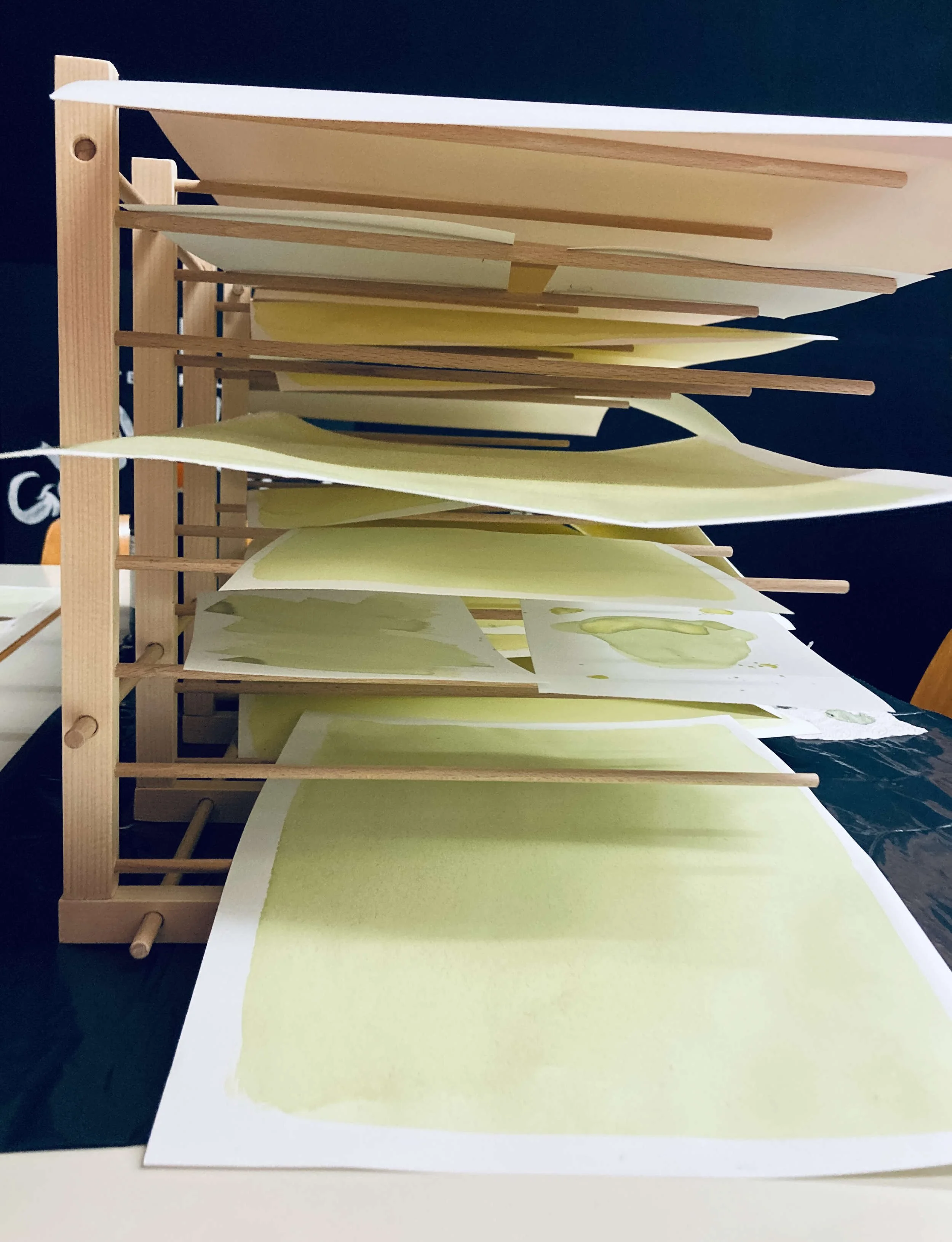 Plattenkamera-Workshop_IMG_2050_Papier-am-trocknen