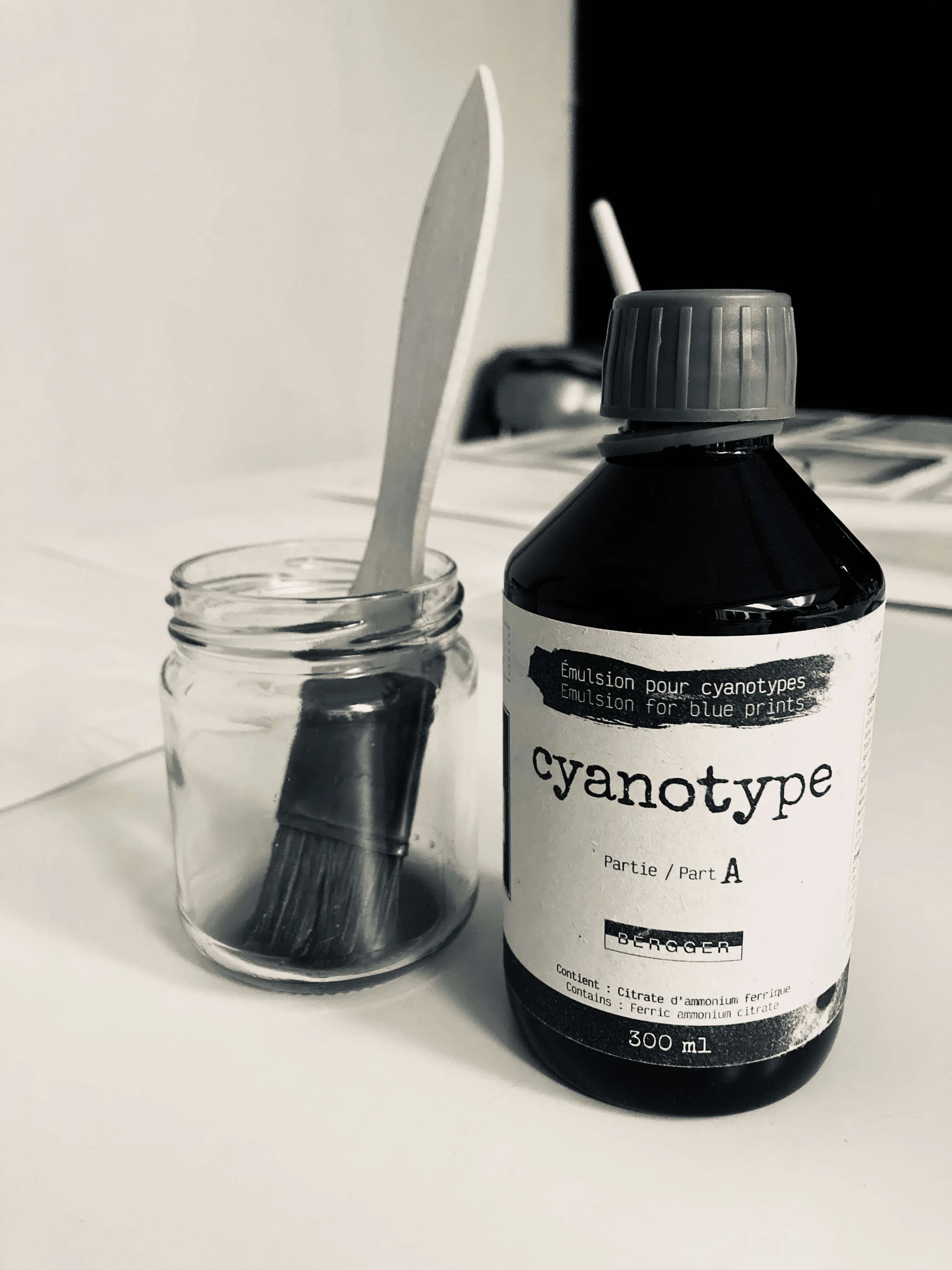 Plattenkamera-Workshop_IMG_2048_b/w_Cyanotypie-Loesung