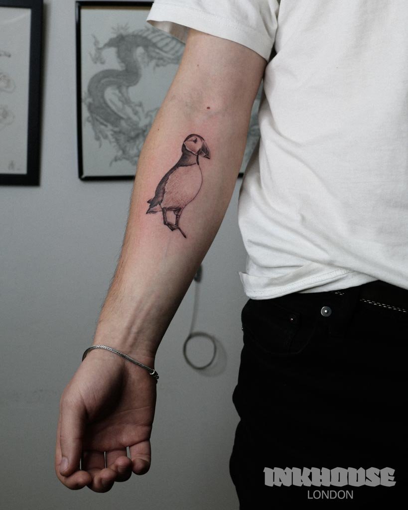 PUFFIN.jpg