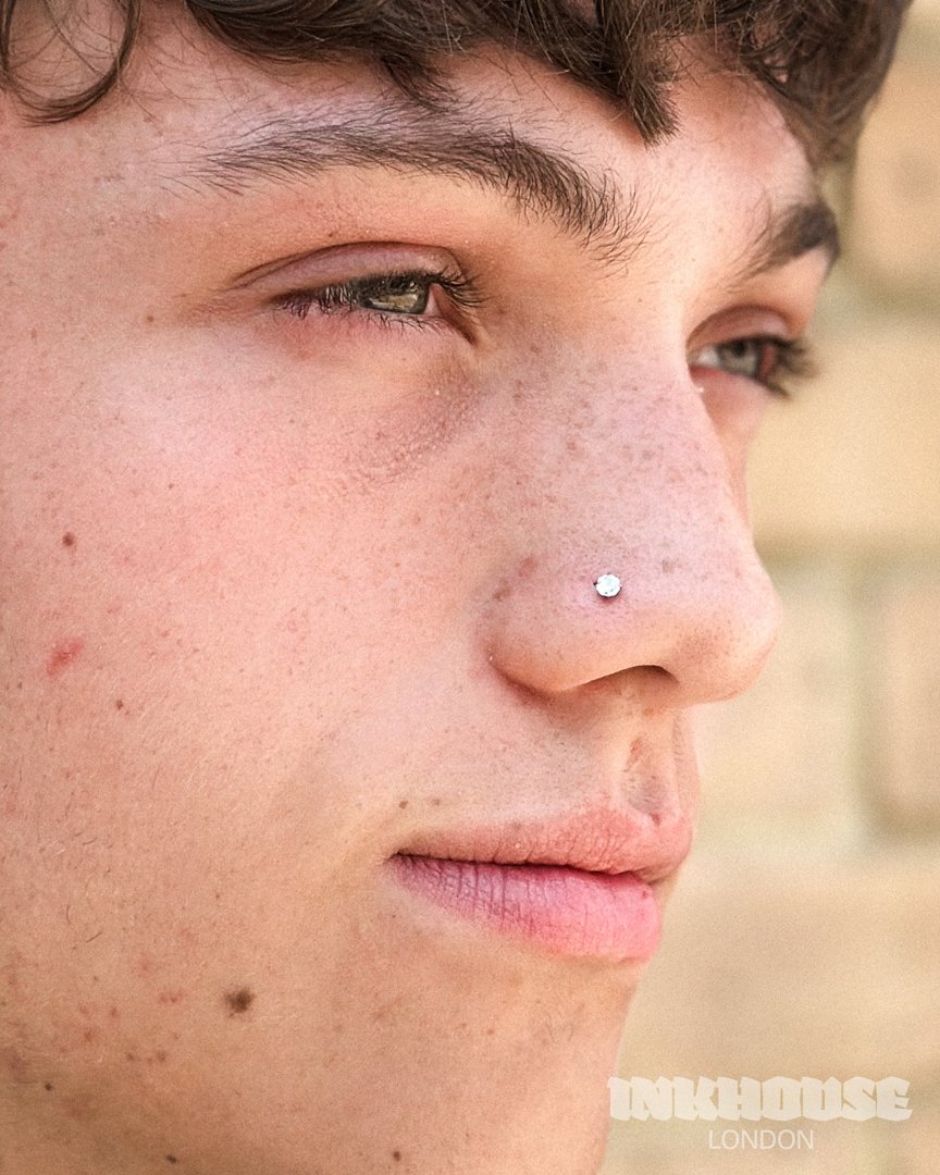 NOSESTUD-2.jpg