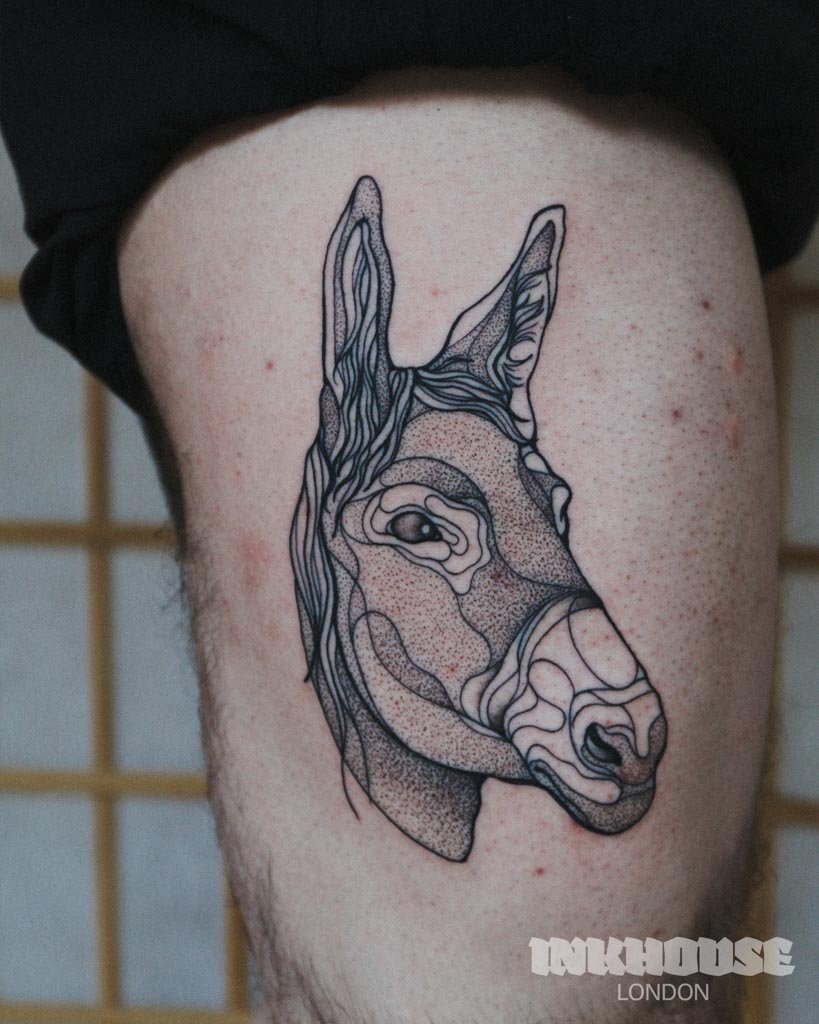 donkey-2.jpg