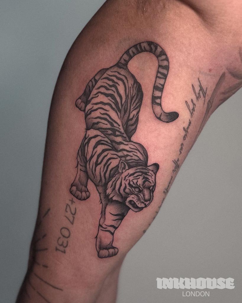 TIGER.jpg
