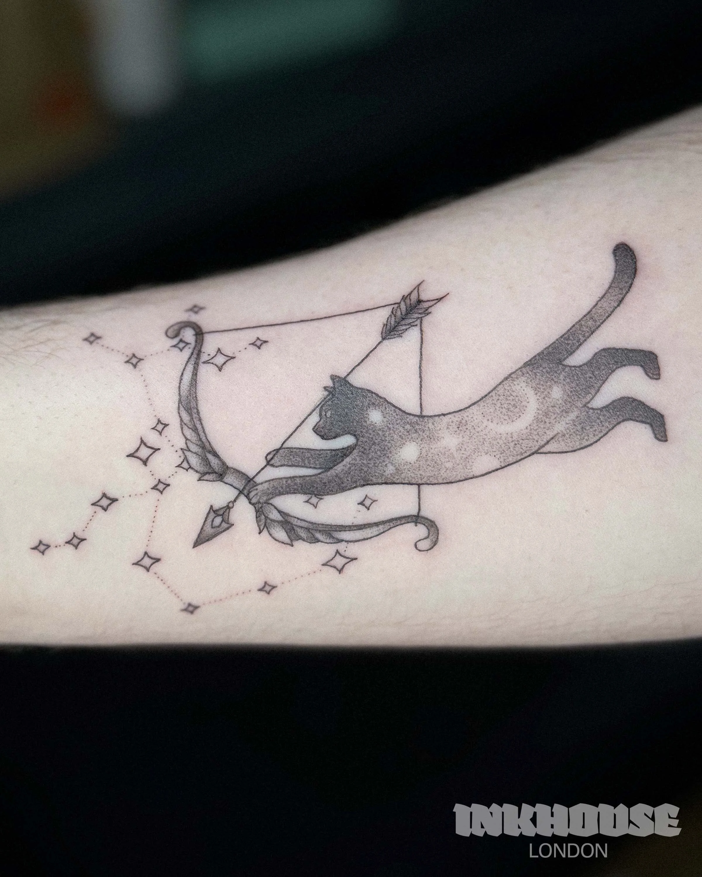SAGCAT.jpg