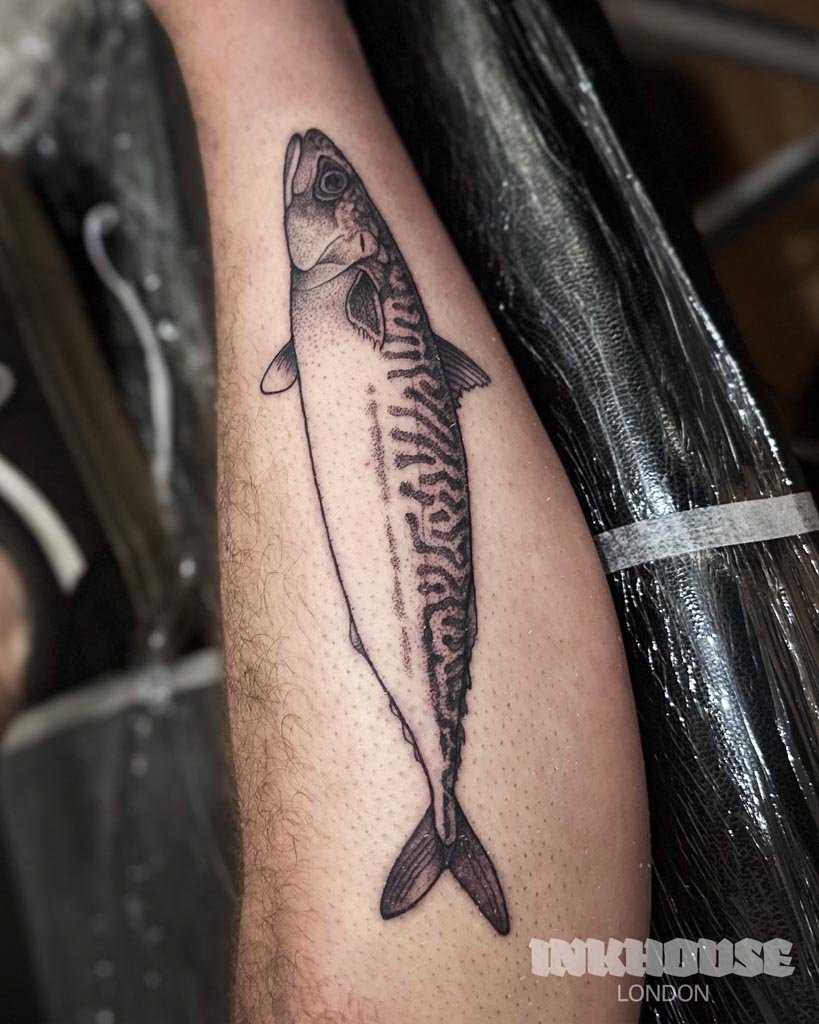 MACKEREL.jpg