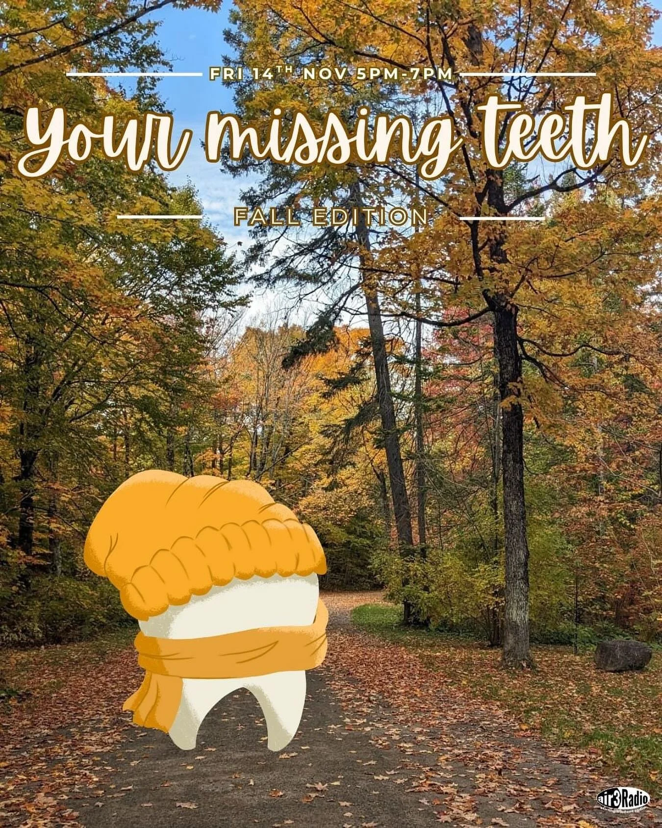 Our very own Naomy is hosting a very special rendition of Your Missing Teeth for autumn! Tune in this Friday at 5pm to hear some cozy tunes 🫶🏻