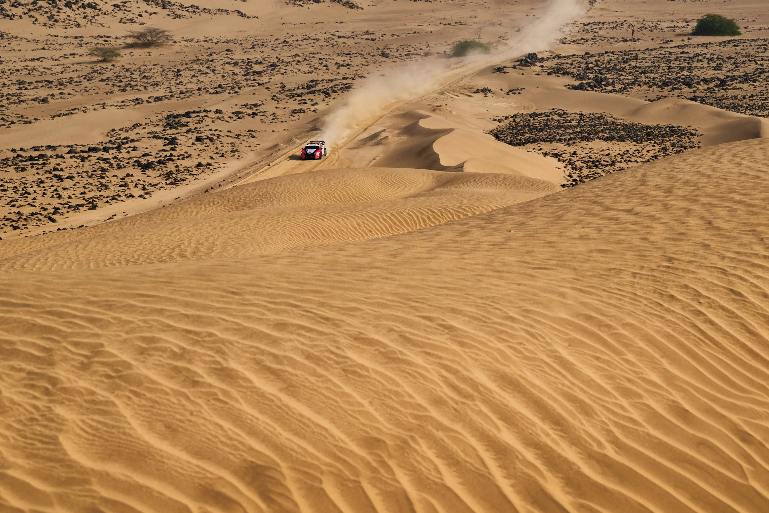 2025SAUDI_RT_129.jpg