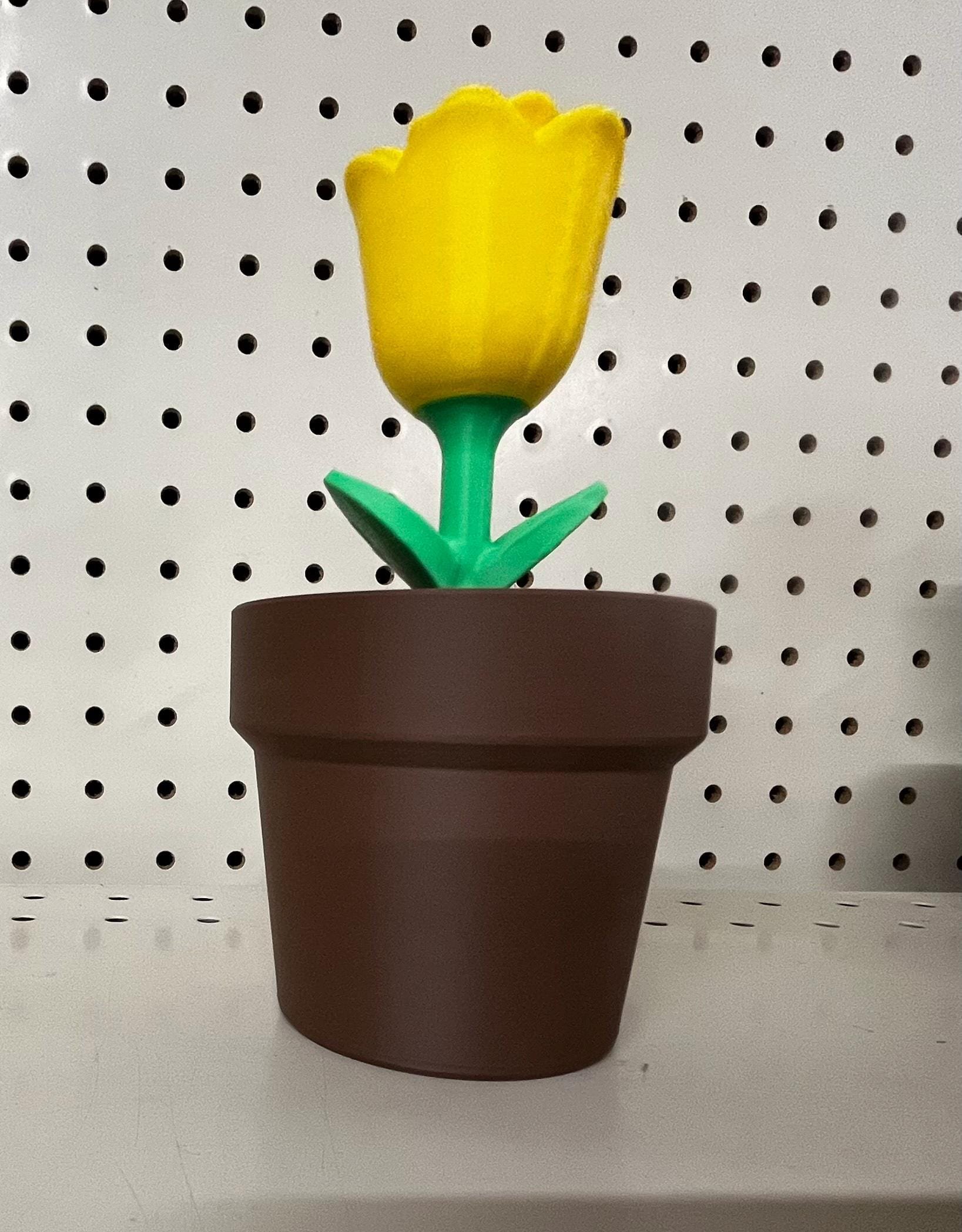 https://i.etsystatic.com/54270564/r/il/18a218/6477560689/il_fullxfull.6477560689_rvin.jpg