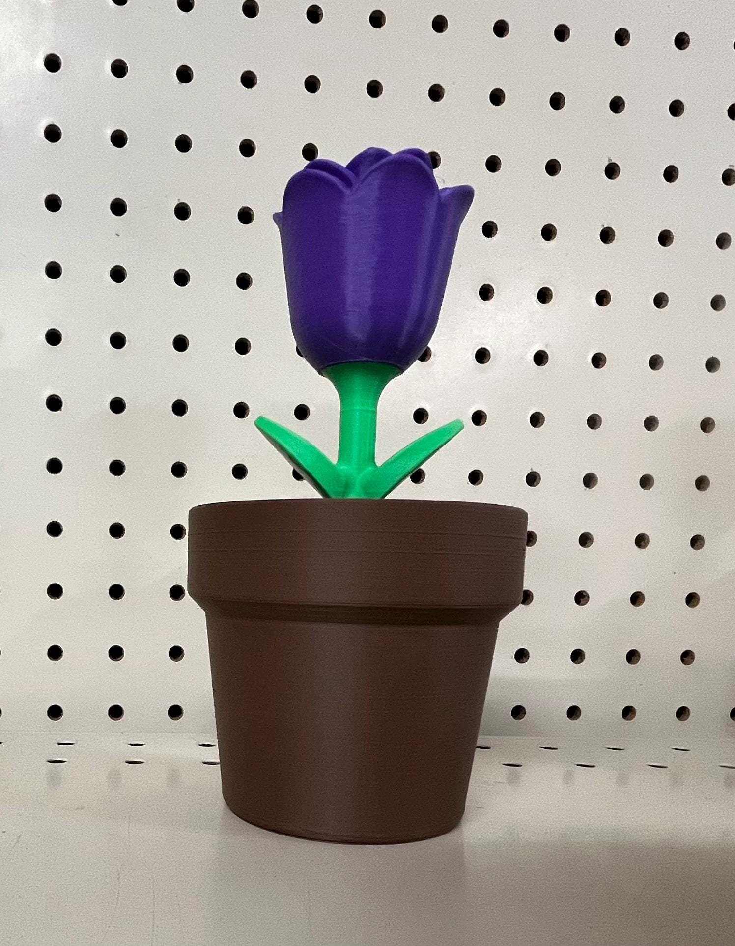 https://i.etsystatic.com/54270564/r/il/528906/6429463652/il_fullxfull.6429463652_tqcw.jpg