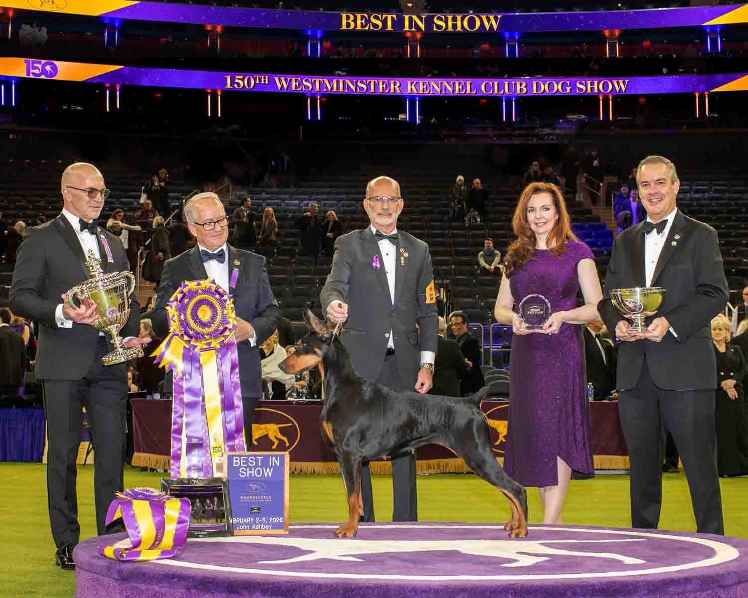 Doberman Pinshcer Wins Westminster Kennel Club Dog Show