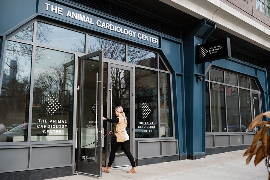 Dog Aging Project TRIAD