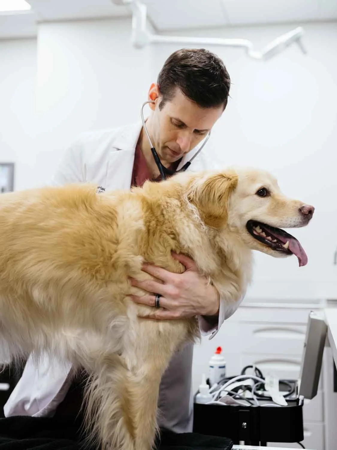 Dog Aging Project TRIAD