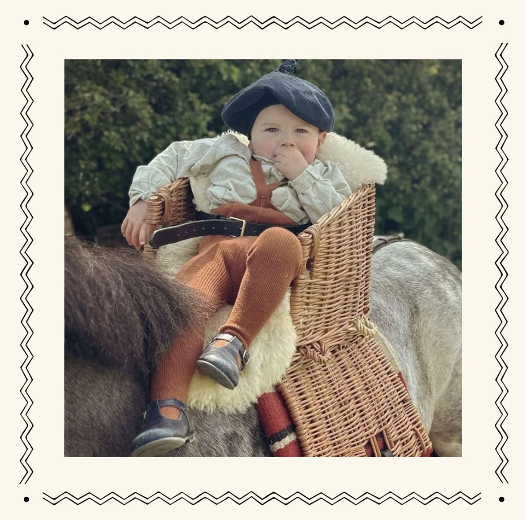 Basket Saddle : The Bells and Whistles