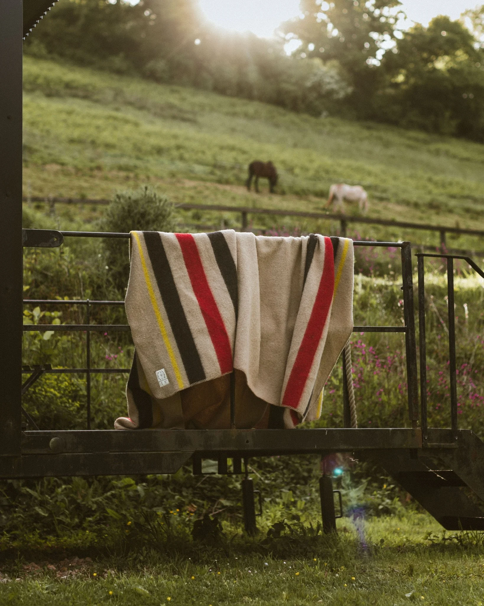 Blanket-3.JPG