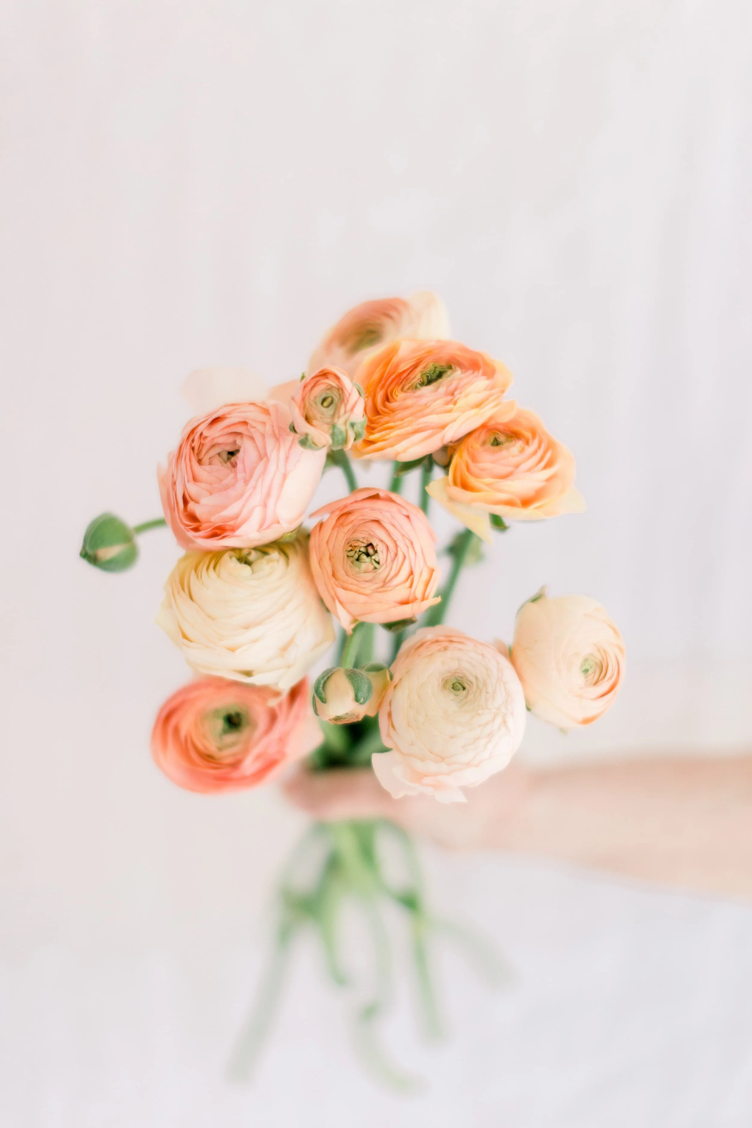 Pastel Ranunculus, Twig & Bloom Regina. We create beautiful florals for weddings, workshops and events.