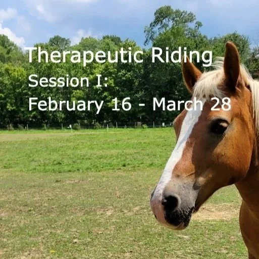 Therapeutic Riding 