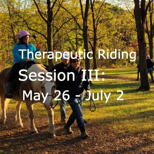 Therapeutic Riding