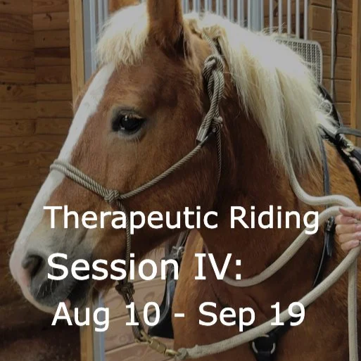 Therapeutic Riding