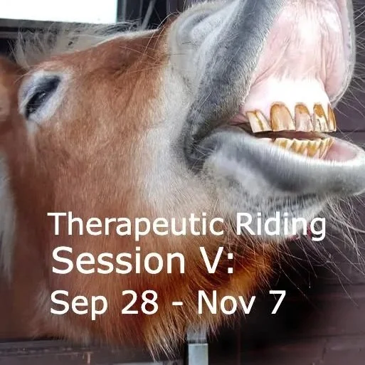 Therapeutic Riding