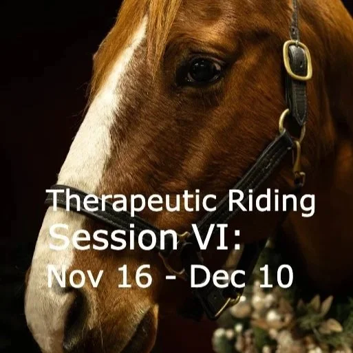 Therapeutic Riding