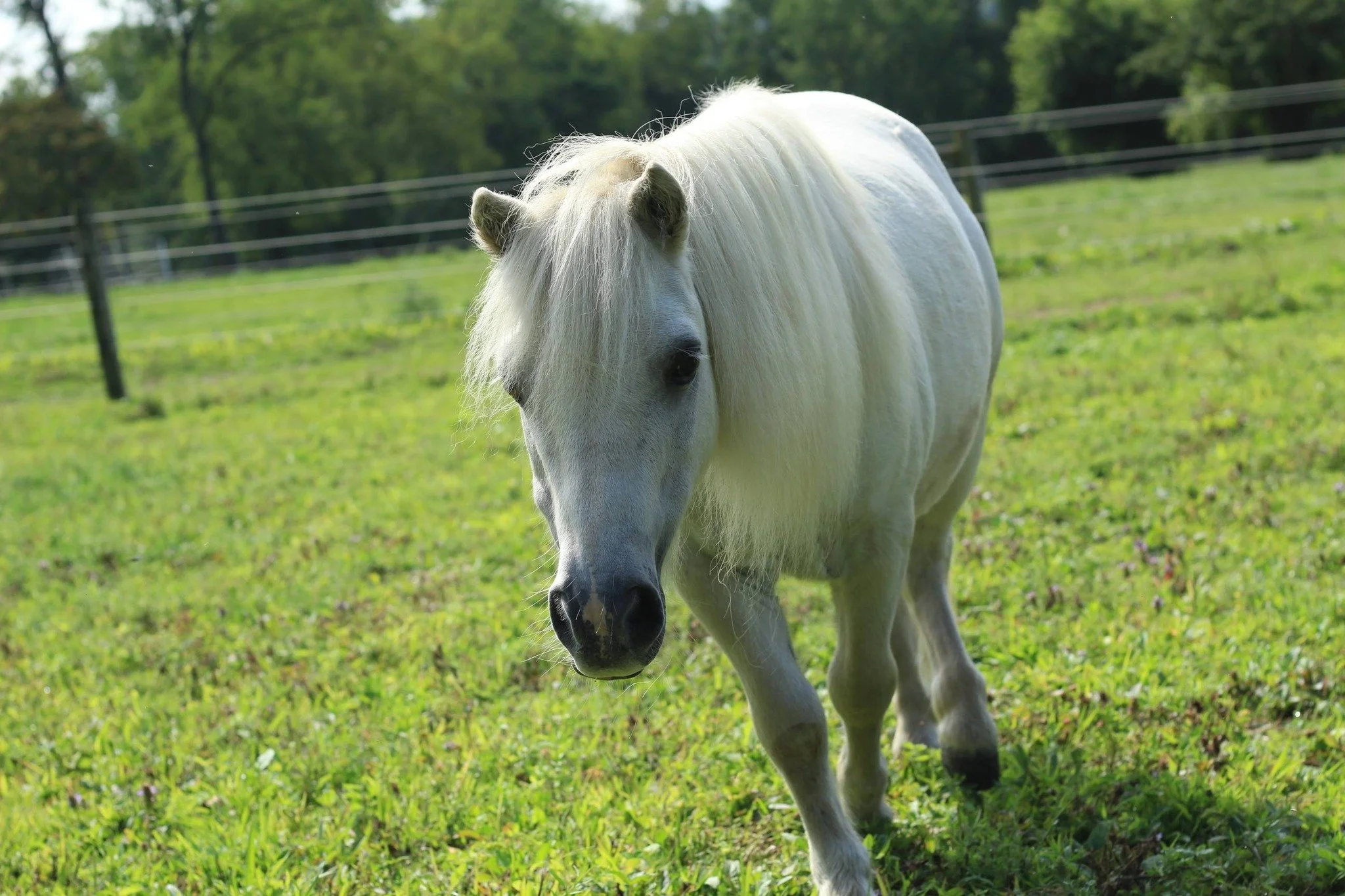 David or Goliath.jpg