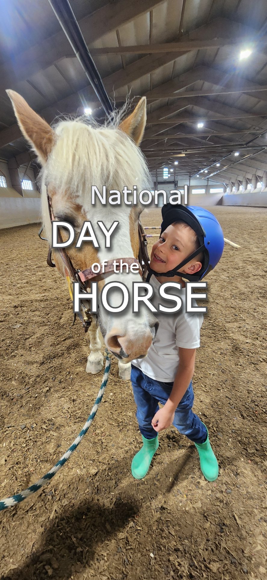 National Horse Day