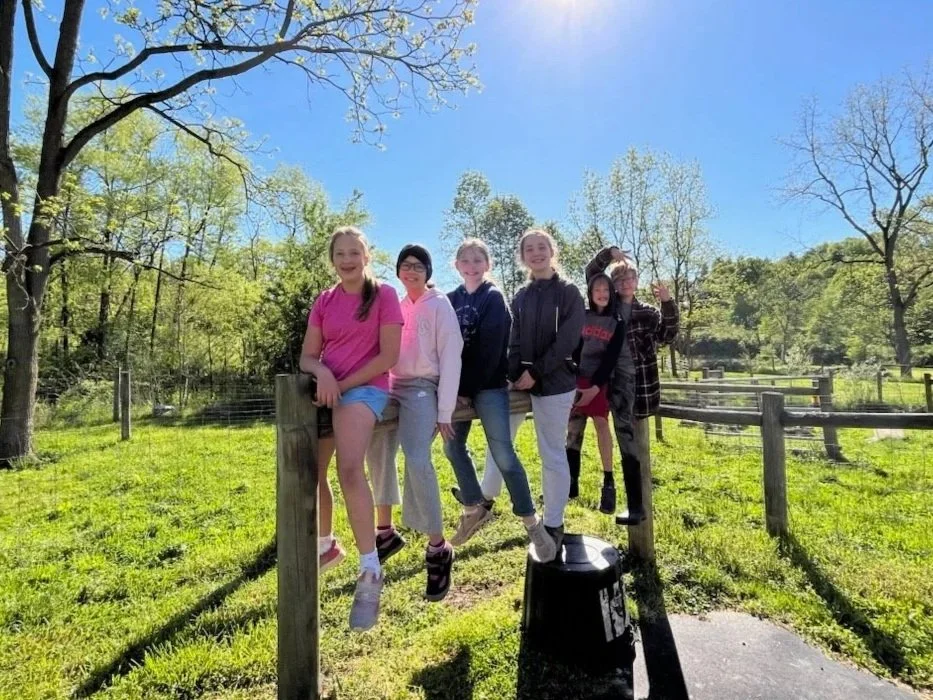 Three young goats, one black with brown, one tan with black markings, and one mostly tan, stand on a stone surface outdoors with green grass and trees in the background. The sun is shining through the trees.