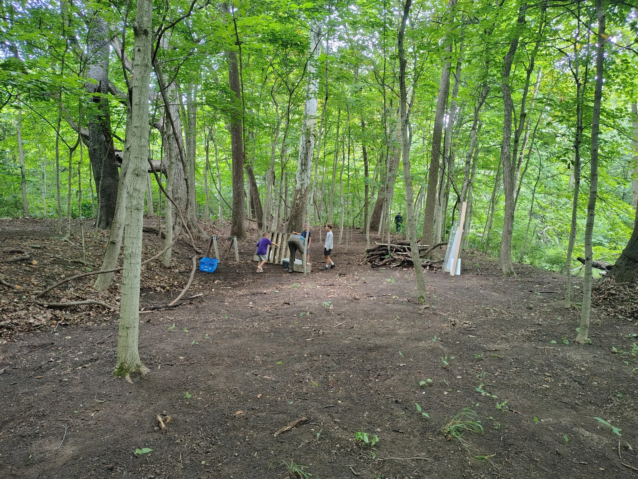 Nature play area