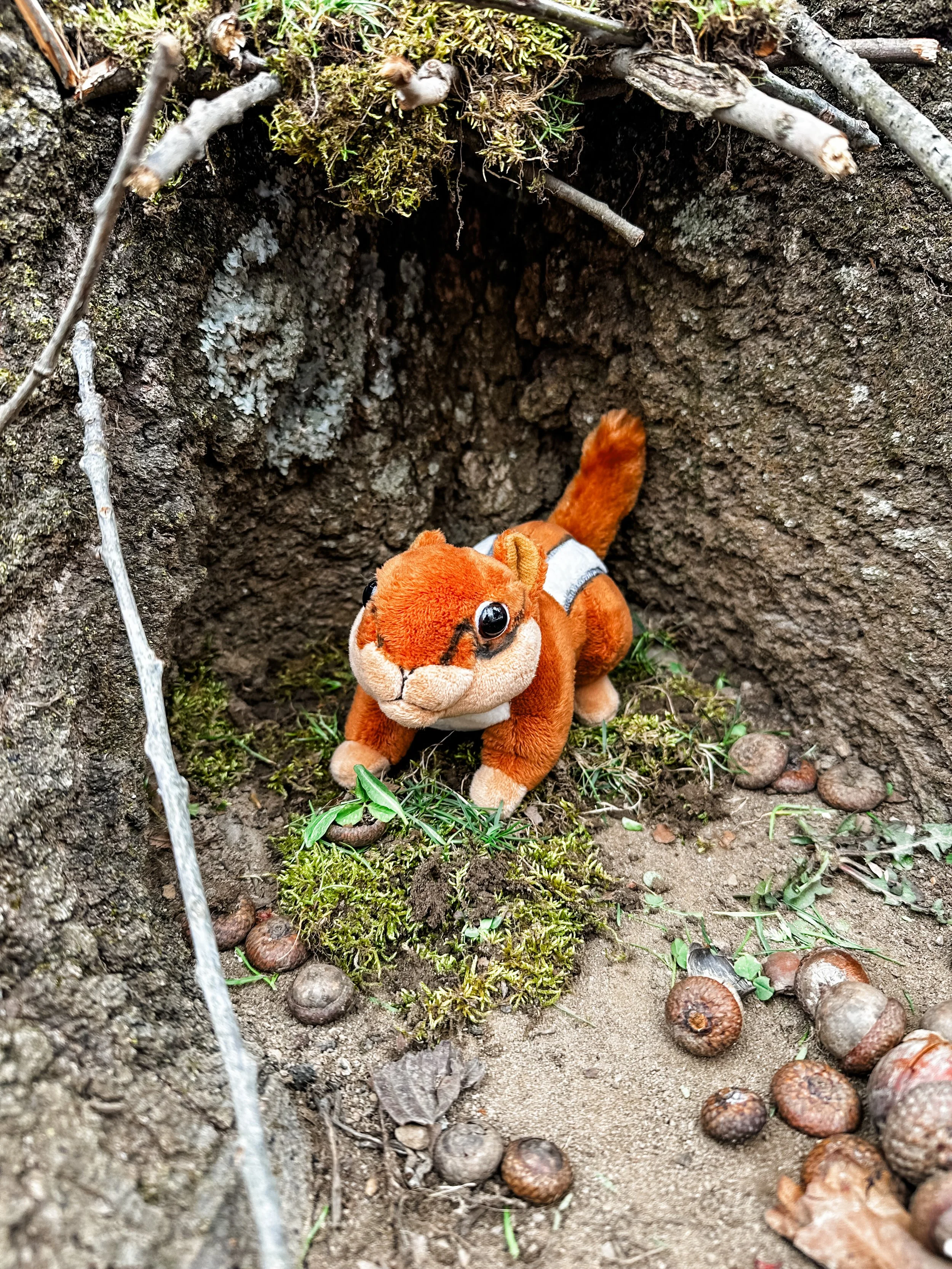 Pip- Our Mascot