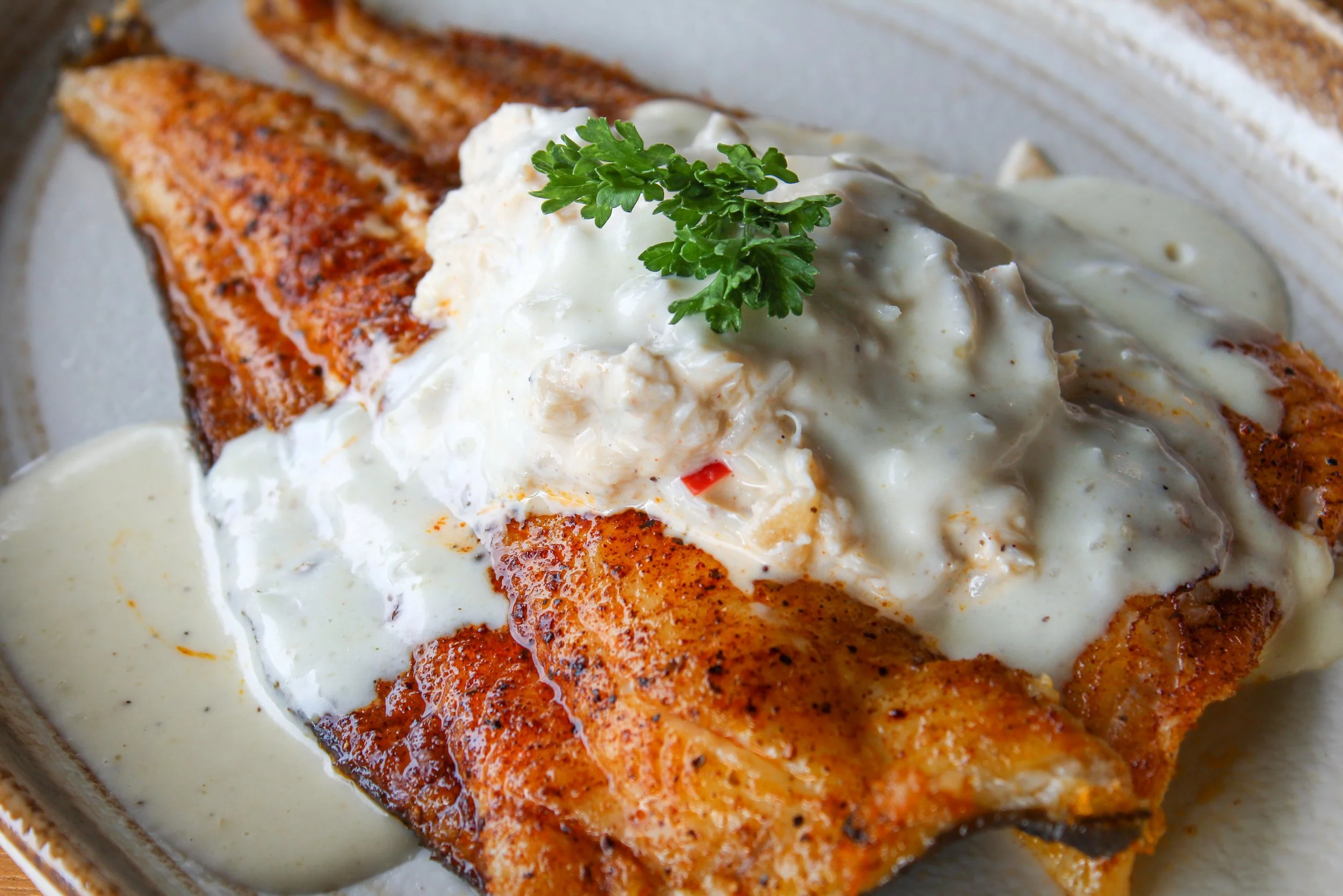 C_CRAB AU GRATIN FRESH CATCH.jpg