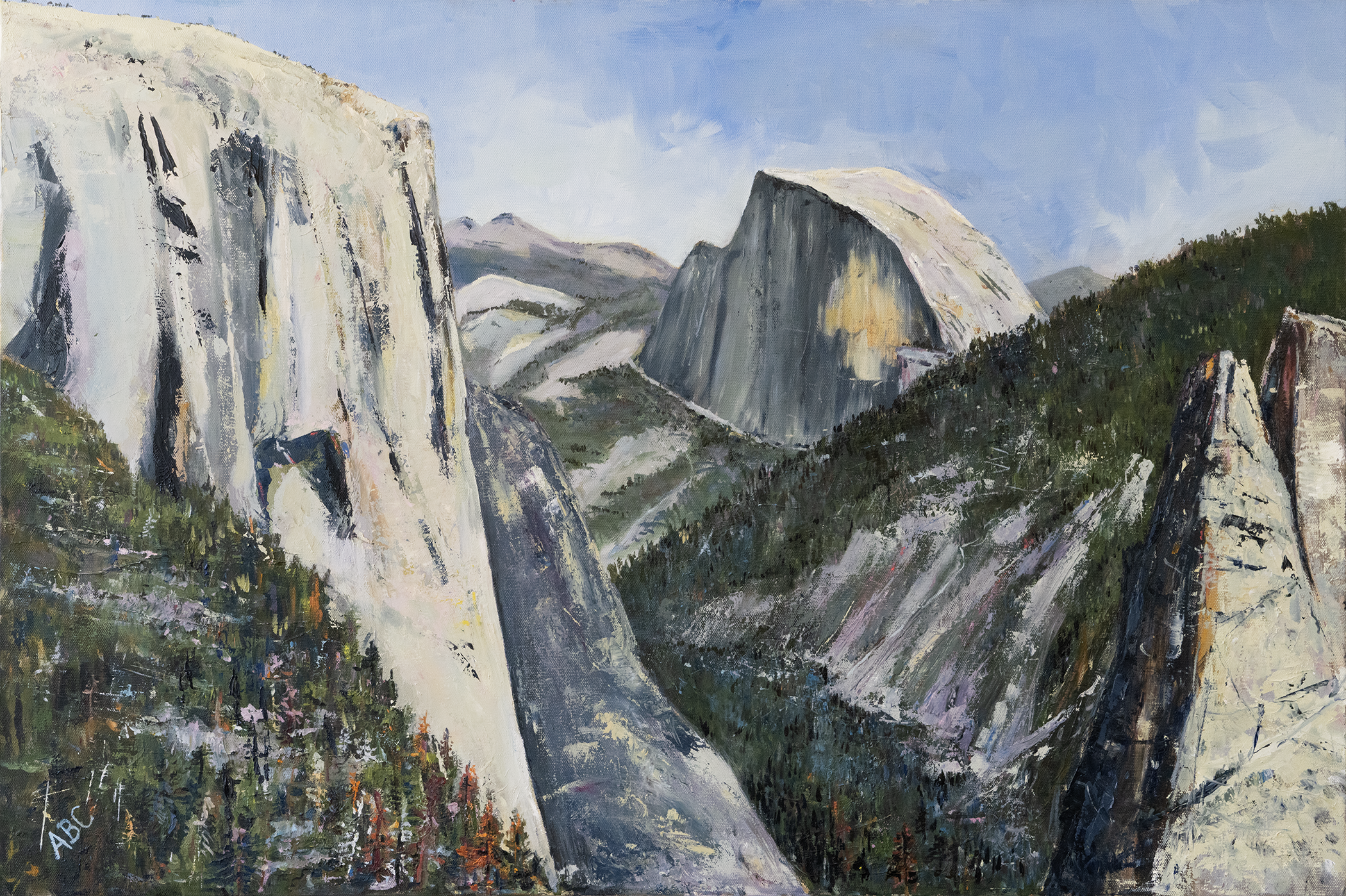 View From Turtle Back Dome, Oil