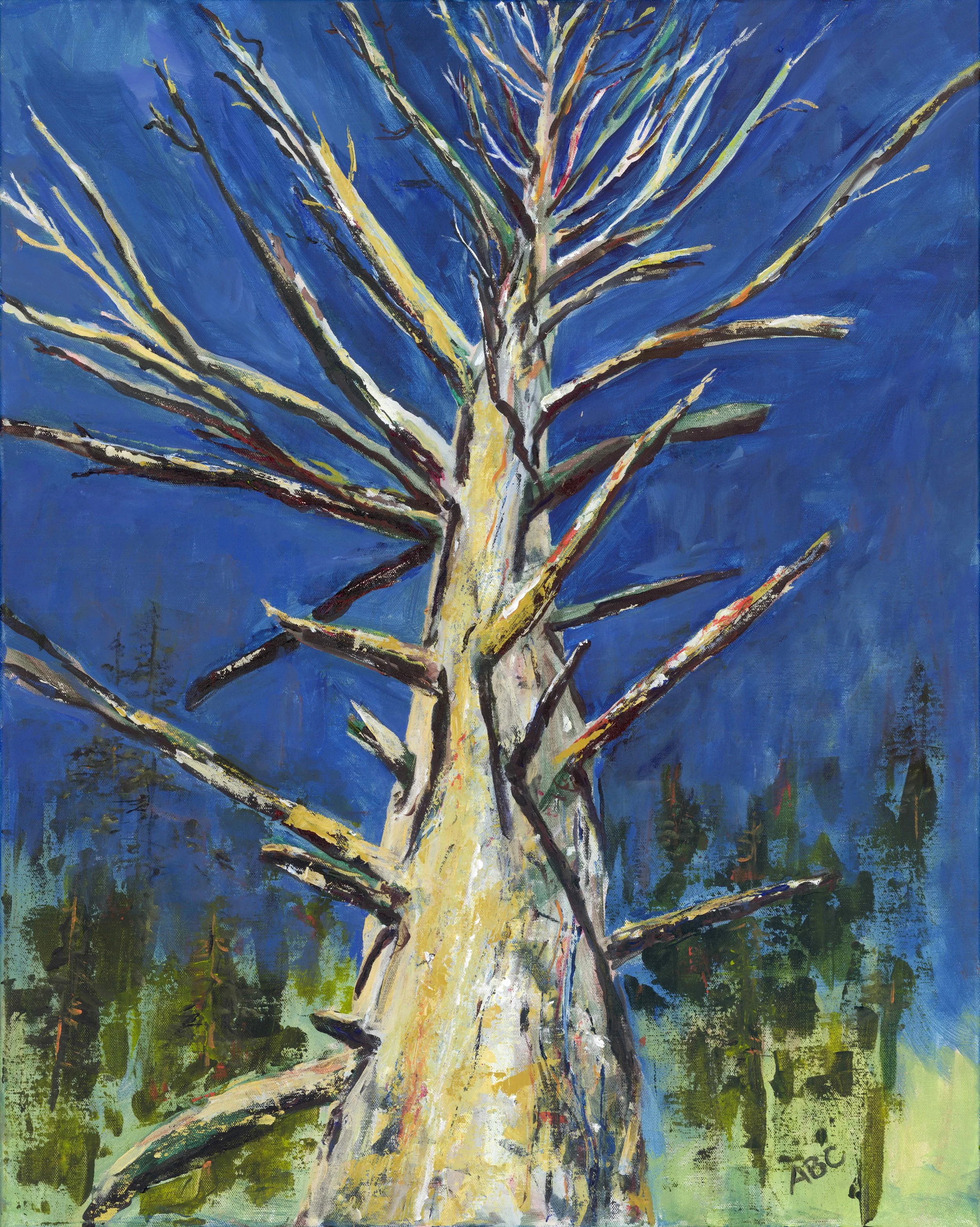 Grandfather Tree