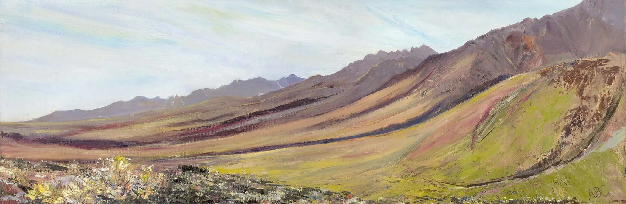 Mt Tom Escarpment; Oil