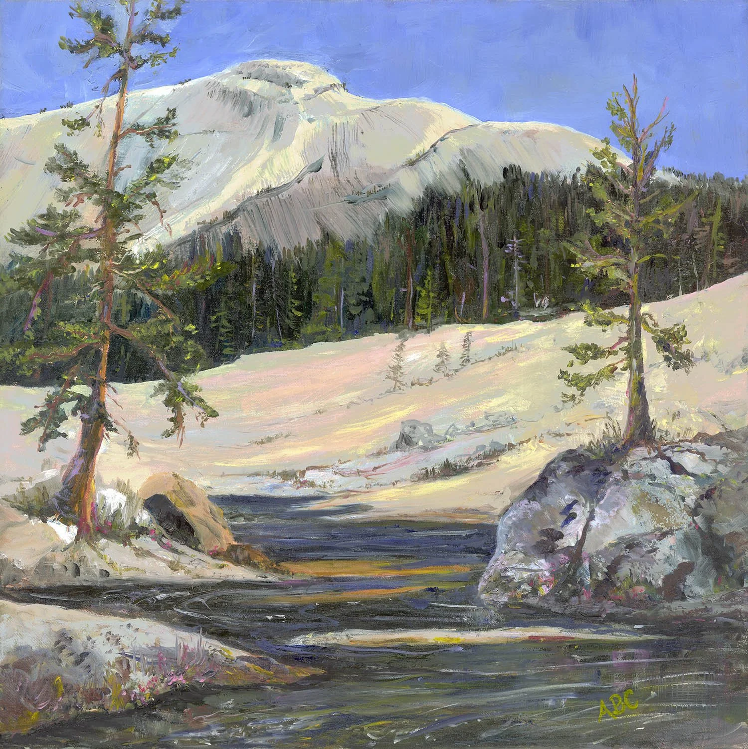 Tuolumne River, Oil