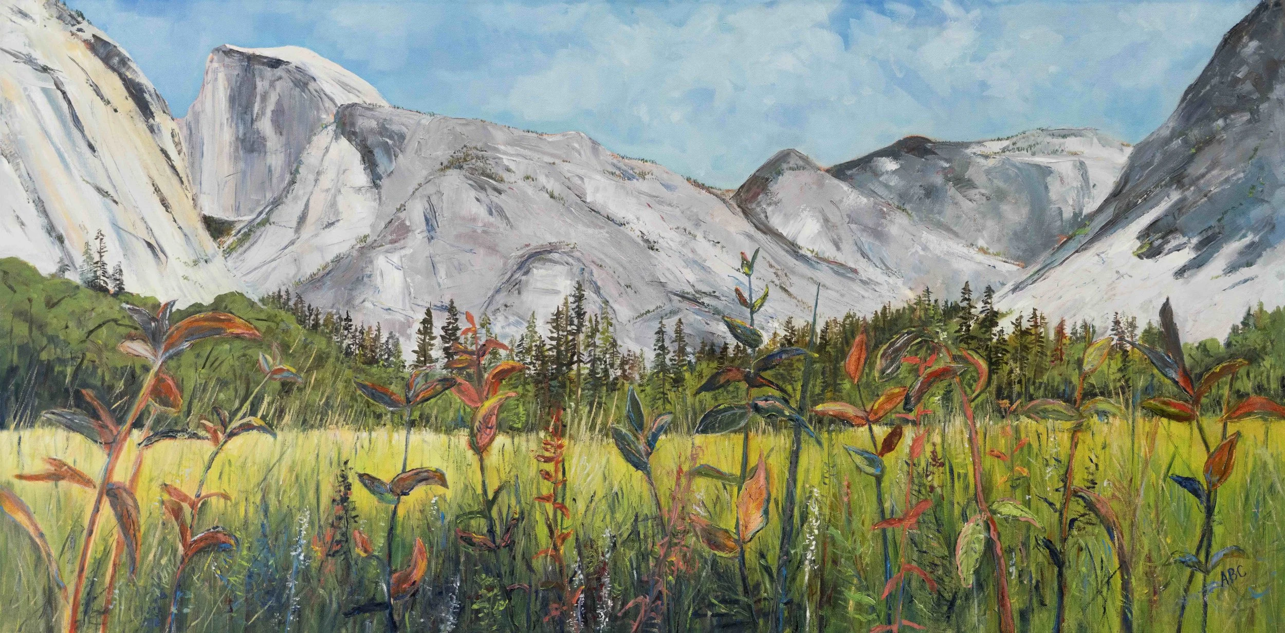 Milkweed, Oil