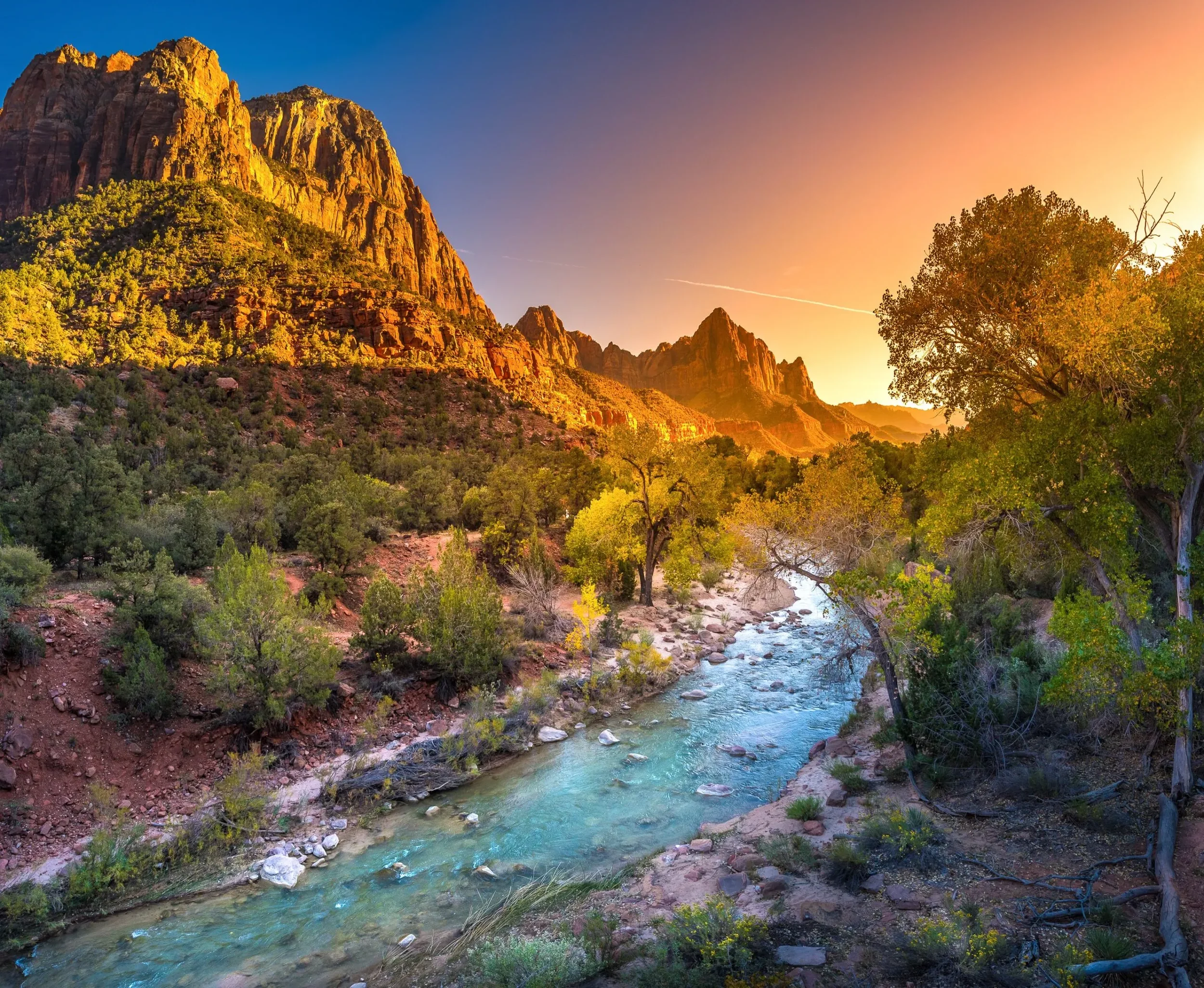 IMG_6066.webp