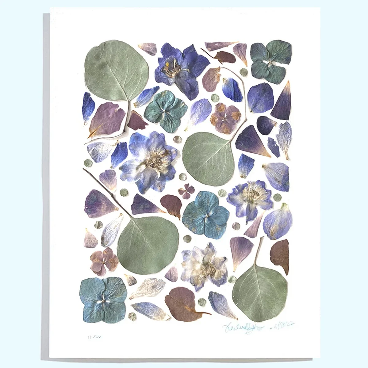 Mercurial Blooms No16 Fine Art Print